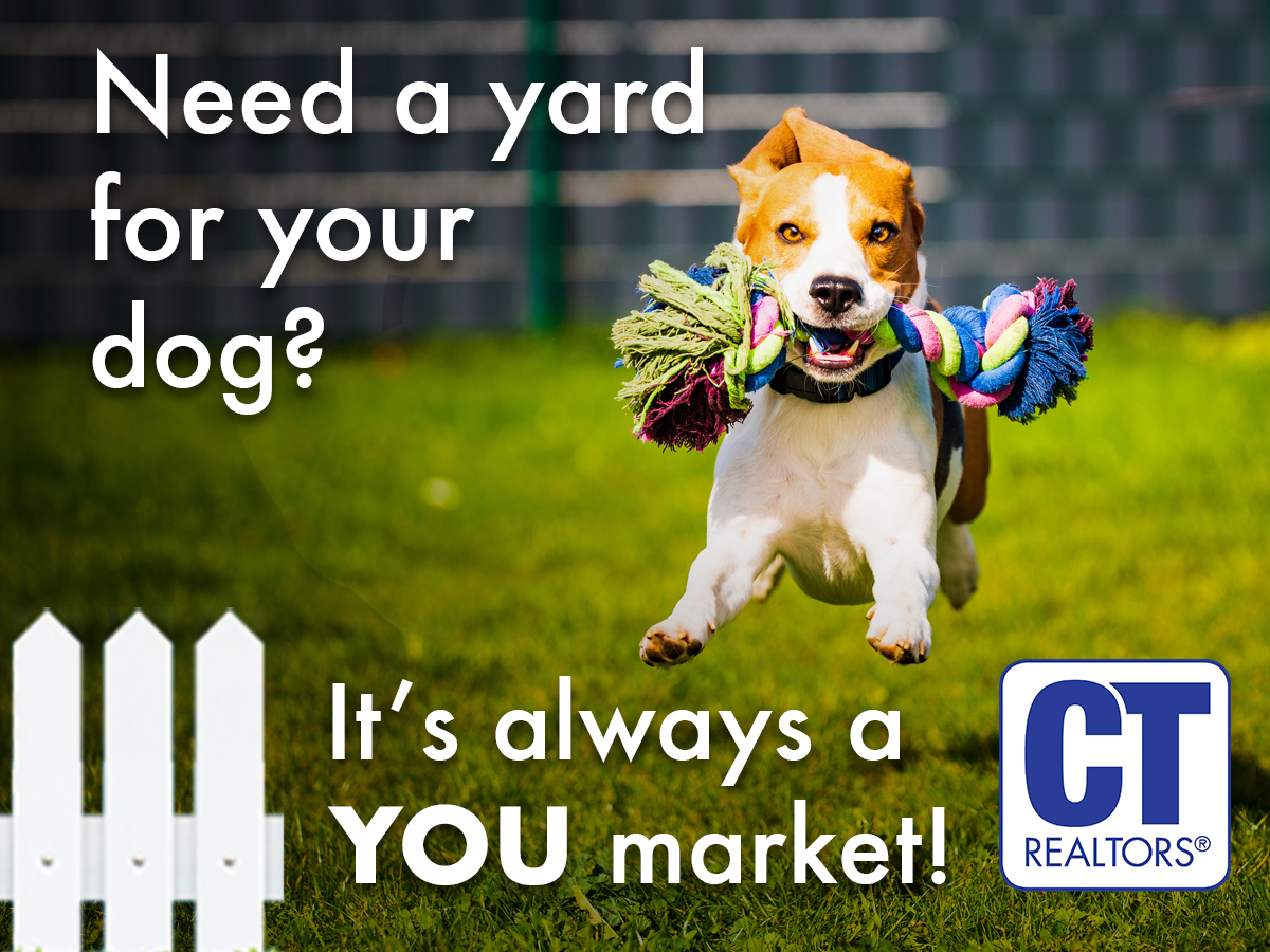 Need a Yard for Your Dog?